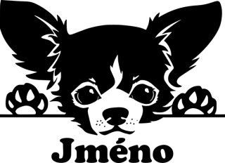 Pes - Čivava